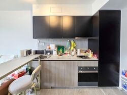Grandeur Park Residences (D16), Condominium #597677751